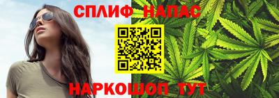 mdpv Новозыбков