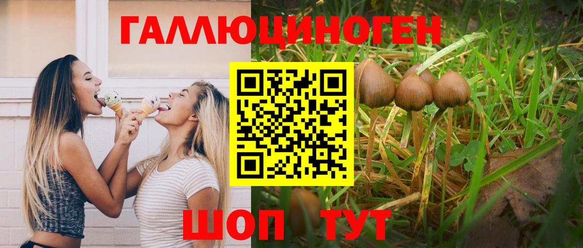 Галлюциногенные грибы GOLDEN TEACHER Саратов