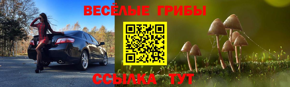 Галлюциногенные грибы Magic Shrooms  Псилоцибиновые грибы Magic Shrooms  Саратов  Вход с VPN 